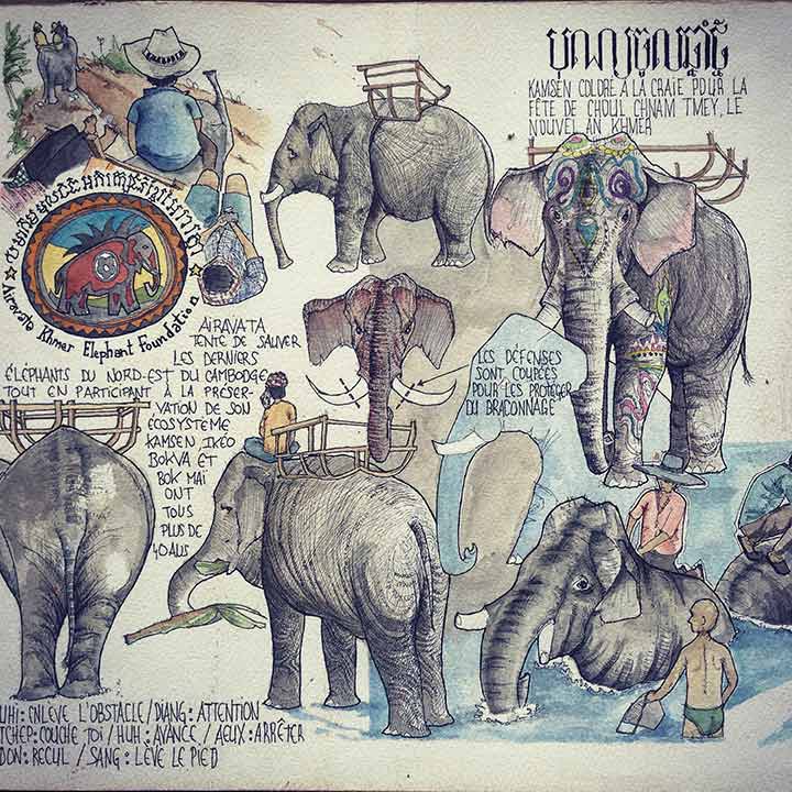 Elephants of Airavata and the Red Lands of Ratanakiri