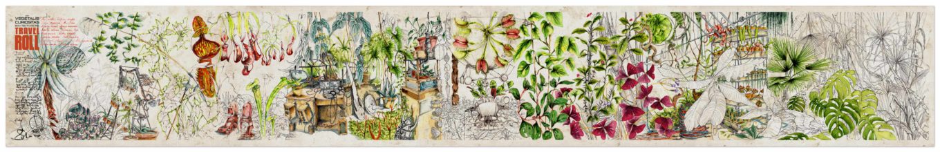 Illustration végétale et florale sur toile